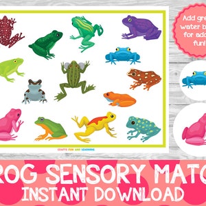 Frog Sensory Match, Sensory Look and Find