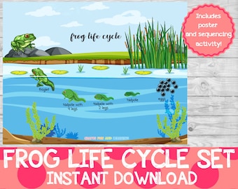 Frog Life Cycle Set, Sequencing Activity, Homeschool Printable (Digital Download)