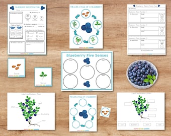 Blueberry Investigation Set