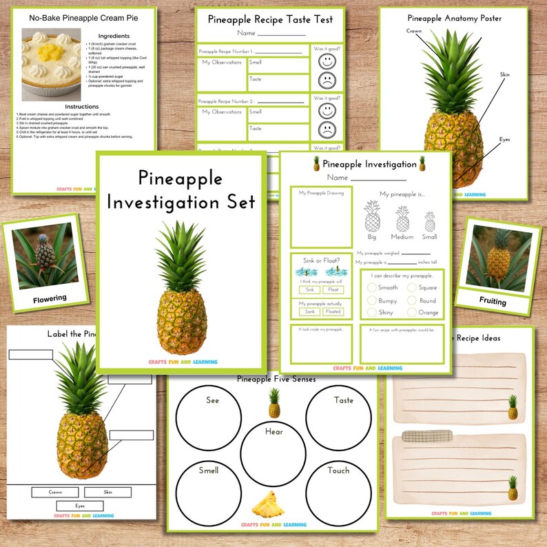 Pineapple Worksheet.pdf Pineapple Investigation Set - Etsy