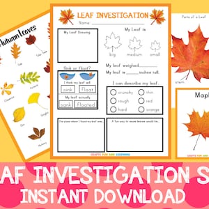 May include: A set of printable educational worksheets for a leaf investigation, featuring diagrams, fill-in-the-blanks, and leaf identification charts. Includes a Maple leaf diagram and the text "Autumn Leaves".