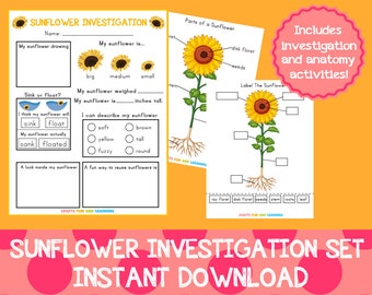 Sunflower Investigation Set