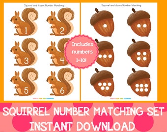 Squirrel Number Matching Set