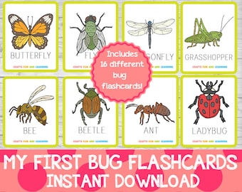Bug Flashcards Set, Insect Learning Cards (Digital Download)