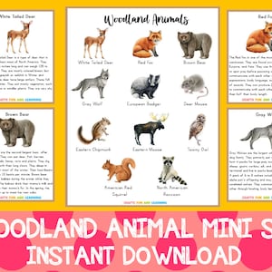 Woodland Animal Poster and Flashcard Set, Woodland Animal Unit Study