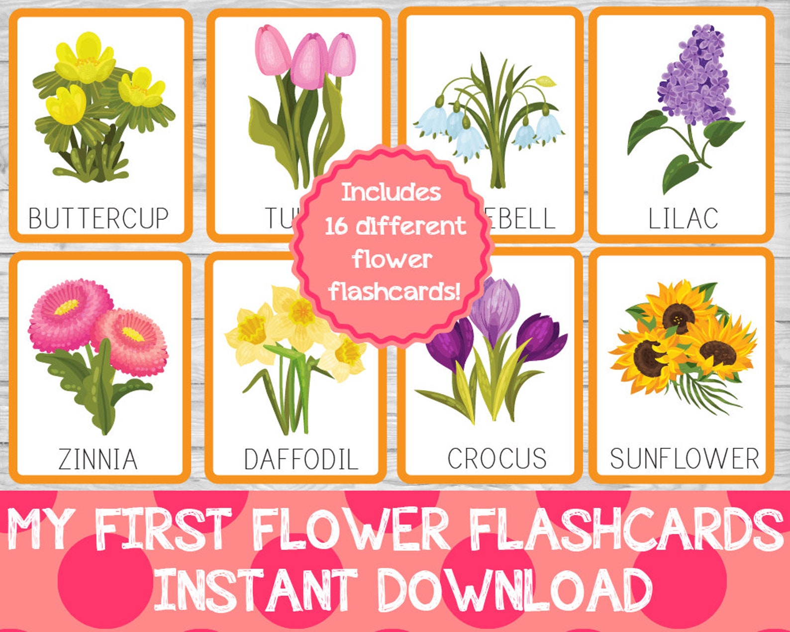 My First Flower Flashcards Set | Etsy