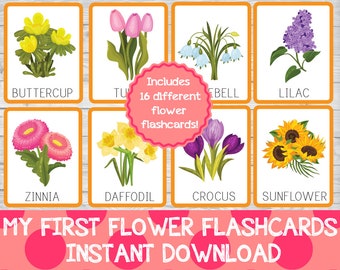 My First Flower Flashcards Set