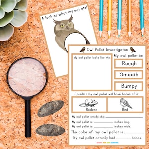 May include: A printable worksheet for an owl pellet investigation. The worksheet includes a picture of an owl, a section to describe the owl pellet, and a section to predict what the owl ate. The worksheet also includes a section to record the measurements of the owl pellet.