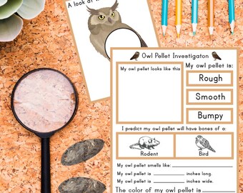 Owl Pellet Investigation Set, Printable Owl Science Unit (PDF)