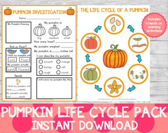 Paquete de aprendizaje del ciclo de vida de la calabaza, actividades de otoño (descarga digital)