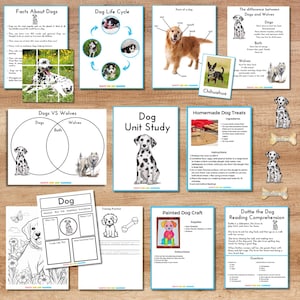 Puede incluir: Una colección de hojas de trabajo educativas y páginas de actividades sobre perros, con diagramas de anatomía canina, ciclos de vida, tablas comparativas entre perros y lobos, una receta de premios, comprensión lectora y dibujos.