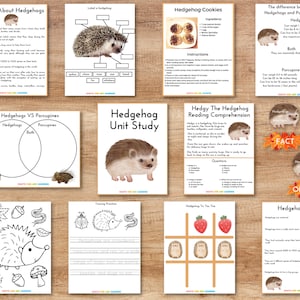 Egeleenheidstudie, Egelleerpakket, Egelactiviteitenpakket, Egelnatuurstudie