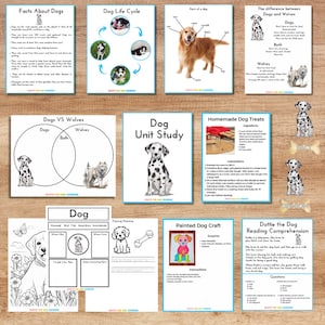 Könnte beinhalten: Eine druckbare Bildungsressource zum Unterrichten von Kindern über Hunde. Die Ressource enthält eine Vielzahl von Aktivitäten, wie z. B. ein Diagramm des Lebenszyklus eines Hundes, ein Venn-Diagramm, das Hunde und Wölfe vergleicht, eine Hundeeinheit, ein Rezept für hausgemachte Hundekekse, ein bemaltes Hundebastelangebot und eine Leseverstehensaktivität über einen Hund namens Dottie.
