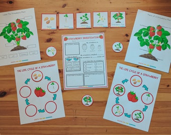 Strawberry Investigation Set