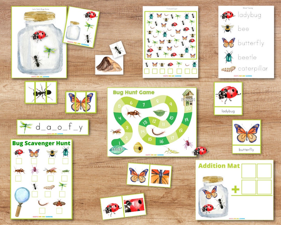 Bug Learning Pack Insect Learning Pack Bug Unit Study