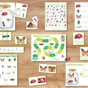 Bug Learning Pack, Insect Learning Pack, Bug Unit Study, Insect Unit Study