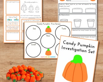 Candy Pumpkin Investigation Set