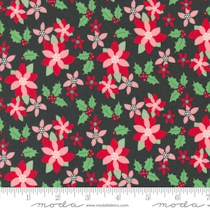 Kitty Christmas: Poinsettia Florals in Coal Kitty Christmas: Poinsettia Florals in Coal
