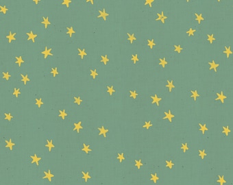 STARRY - Stars - Soft Aqua - Alexia Abegg - Ruby Star Society - Cotton quilting fabric yardage - 24