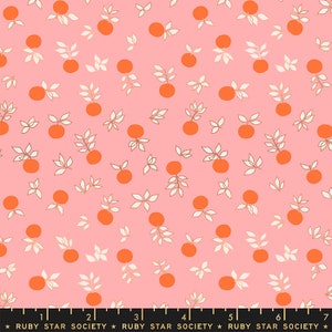Stay Gold: Blossom in Merry Stay Gold: Blossom in Merry