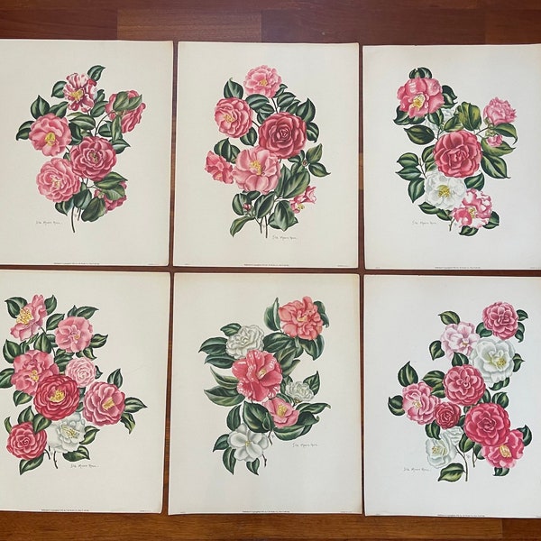 Vintage Large 1952 Floral Lithograph Prints by Lila Moore Keen, Published by I.B. Fischer Co., New York City