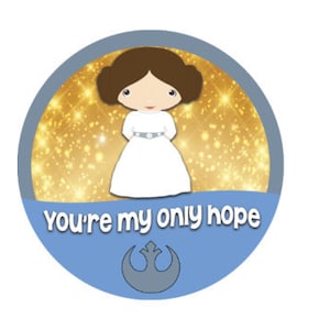 May include: A blue and gold circle with a cartoon image of Princess Leia from Star Wars. The text "You're my only hope" is written below the image. The Rebel Alliance symbol is below the text.
