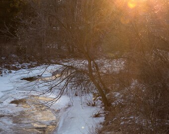 May include: A winter landscape featuring a partially frozen river with ice formations and snow. Bare trees line the banks, and the sun shines brightly in the upper right corner, creating a warm glow.