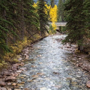 Sparking Clear Stream