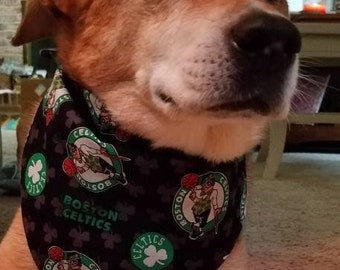 boston celtics dog jersey