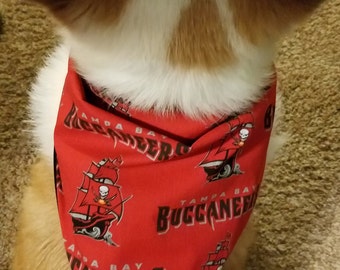 buccaneers dog jersey