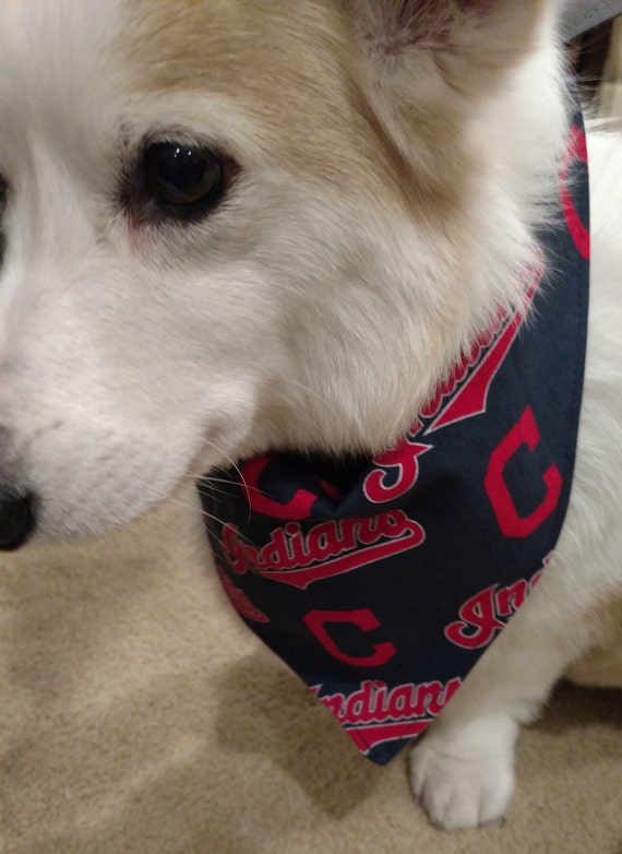 cleveland indians dog jersey