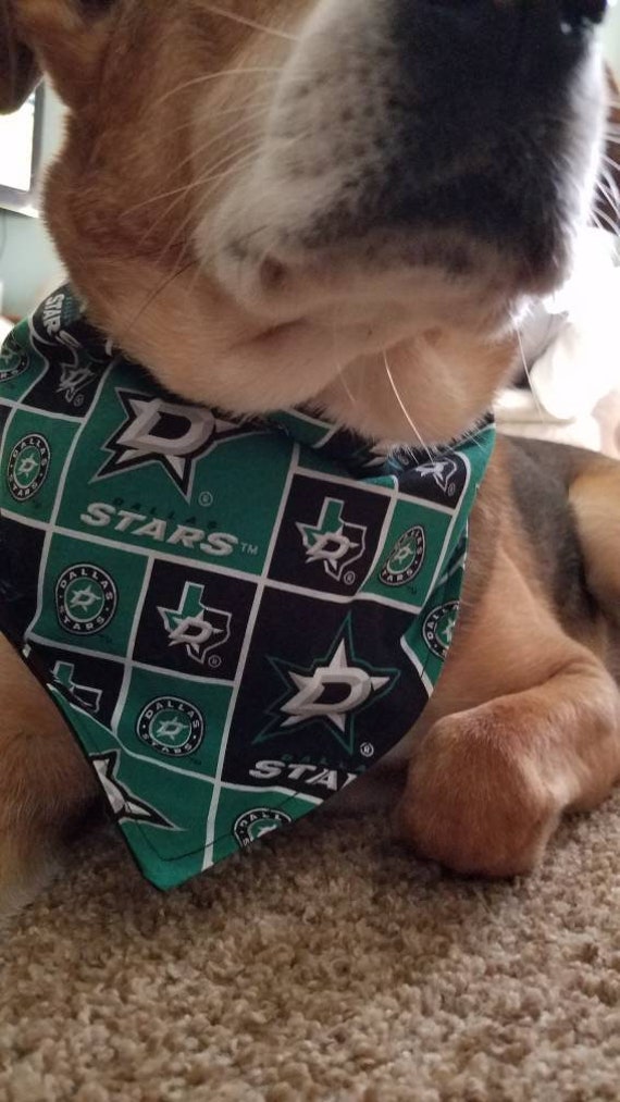 dallas stars dog jersey