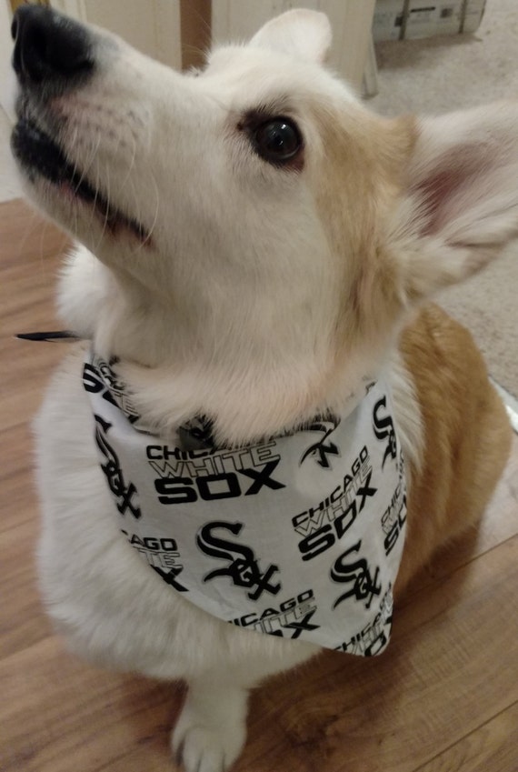 chicago white sox dog jersey