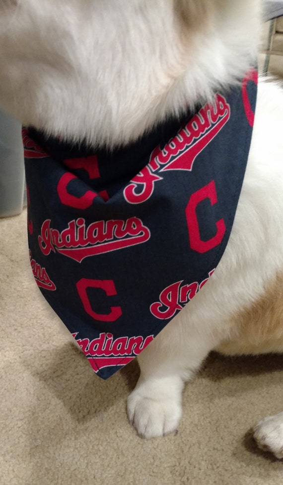 cleveland indians dog jersey