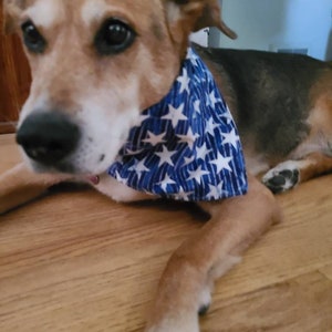 Stars Pet Bandanas, American Flag Stars Pet Bandanas, Traditional Tie-on Bandana, 4th of July Bandana, 4th of July Bandana, Dog Bandana