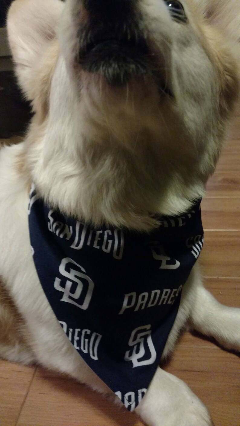 padres dog jersey