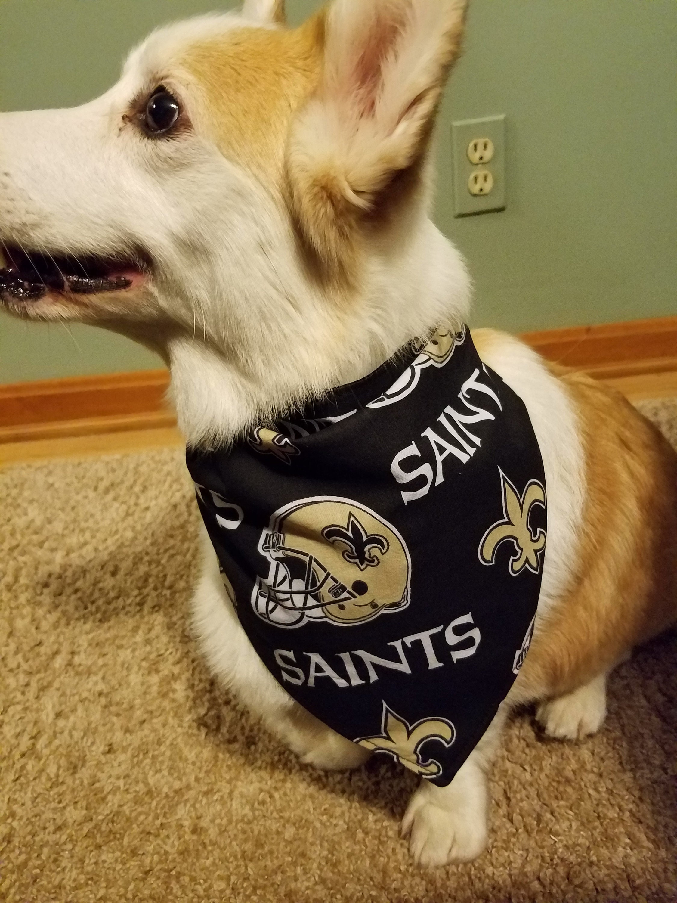 saints dog clothes