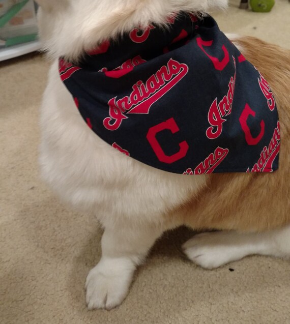 cleveland indians dog jersey