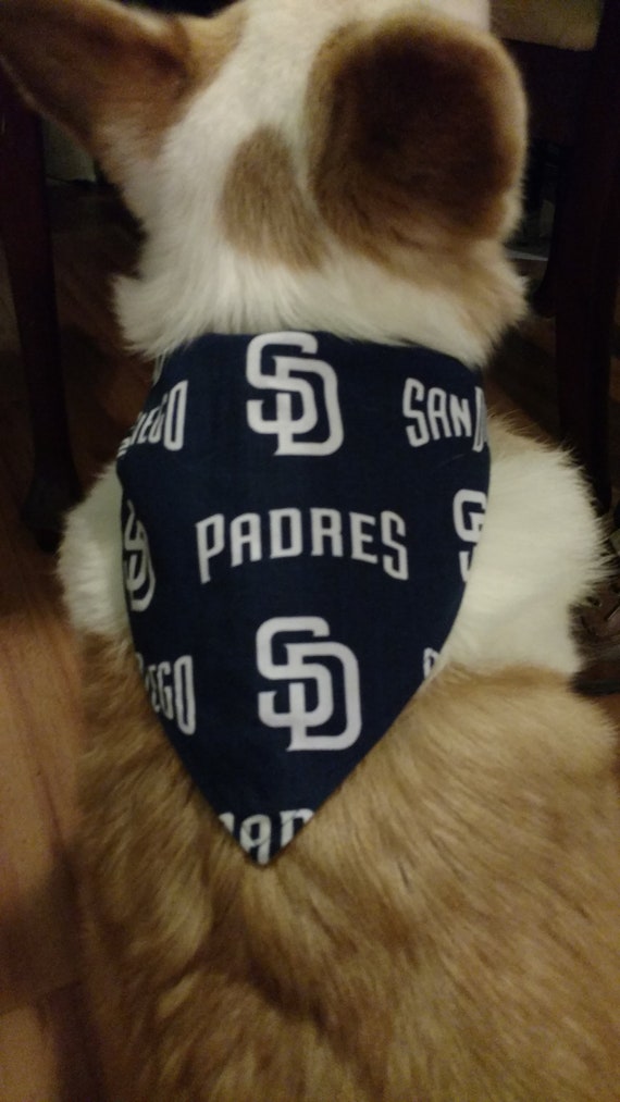 padres dog jersey