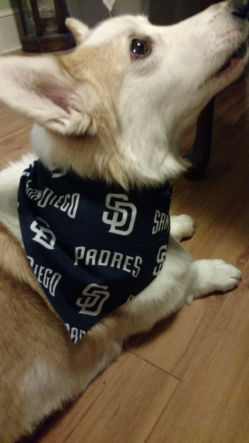 padres dog jersey