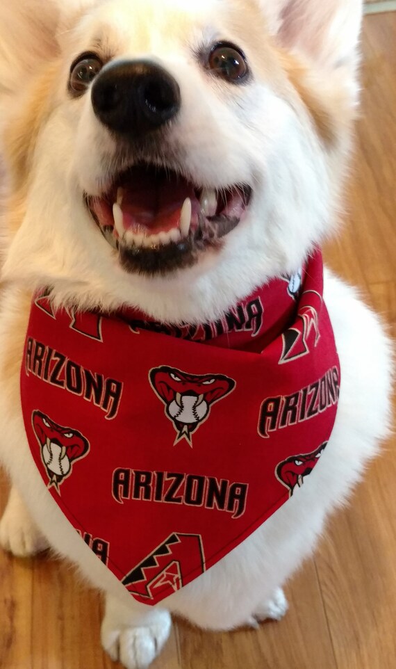 diamondbacks dog jersey