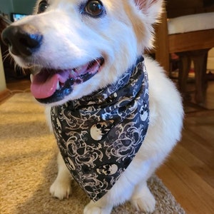 Skulls Pet Bandanas, Traditional Tie-on Bandana, Halloween Bandana, Halloween Skulls Bandana