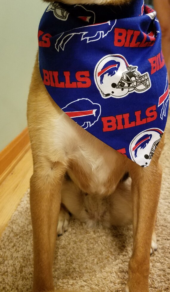 buffalo bills dog gear