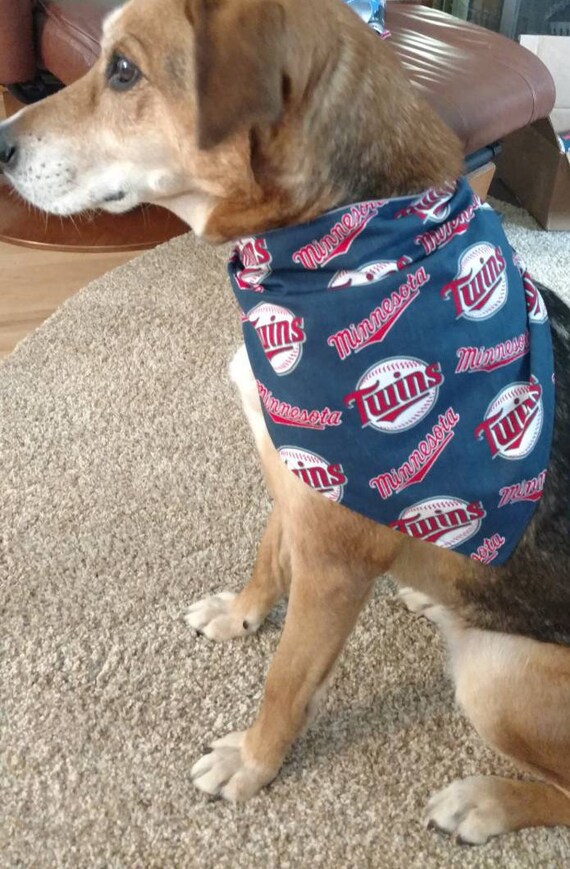 minnesota twins dog jersey
