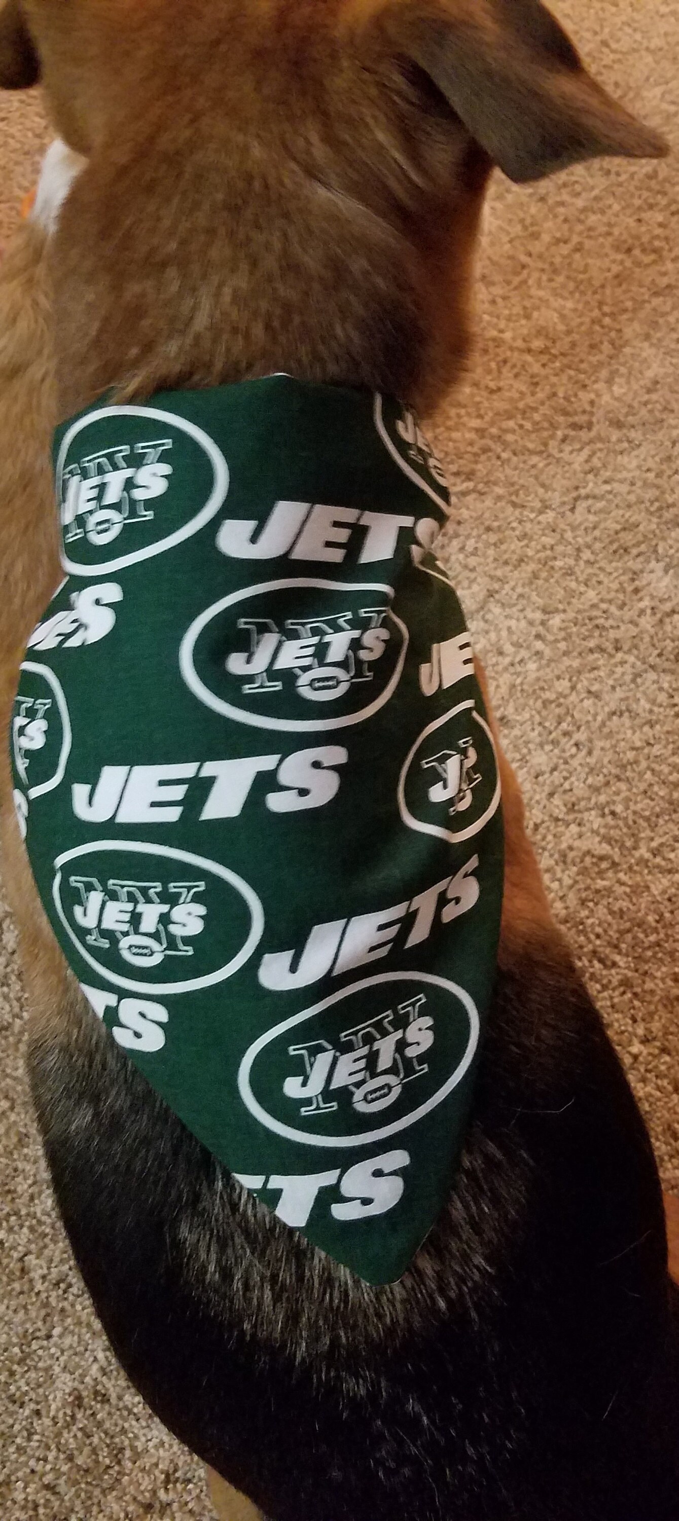 New York Jets Football Pet Bandanas Etsy