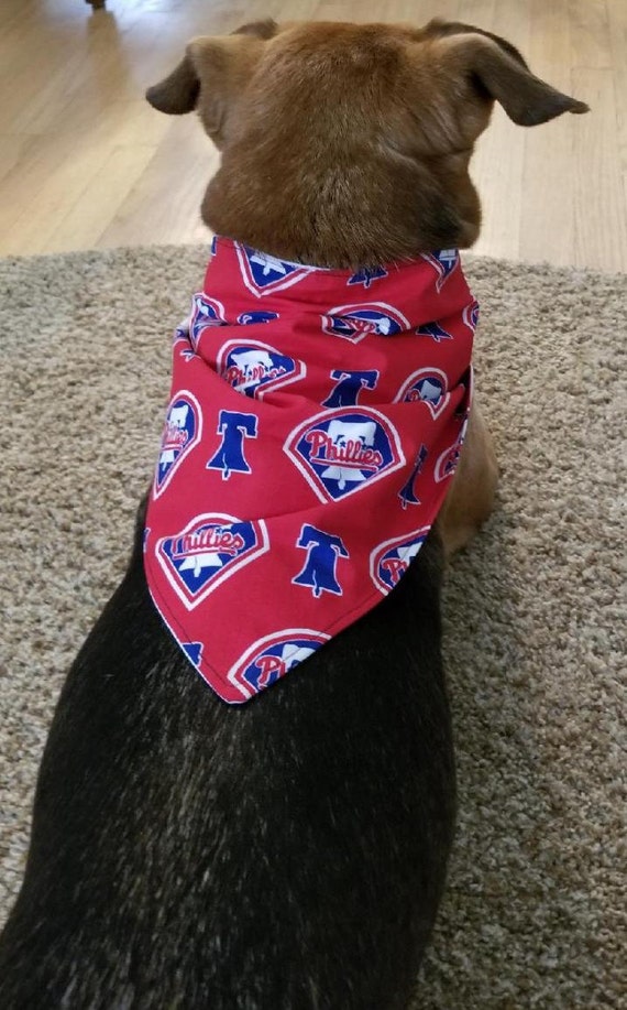 phillies dog jersey