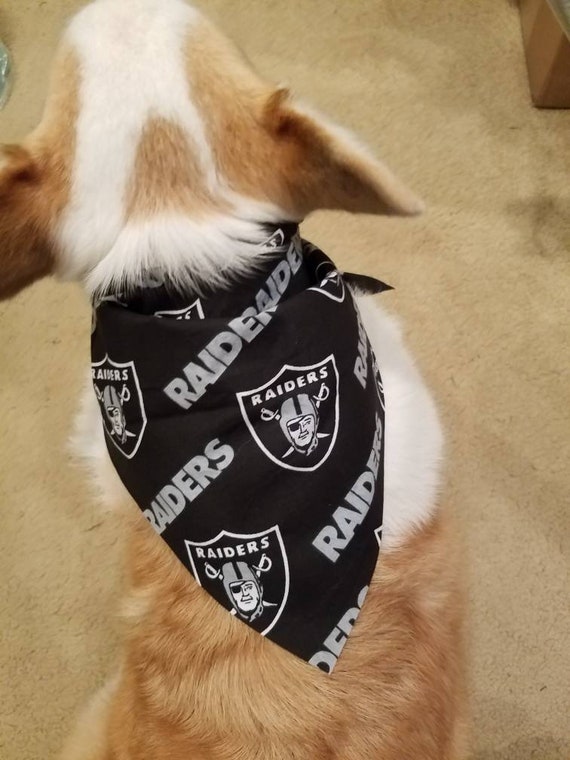 las vegas raiders dog jersey