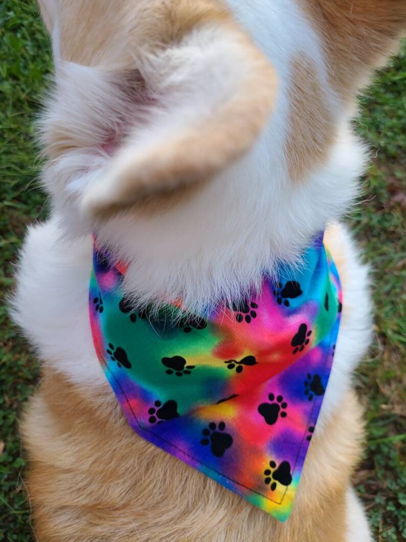 May include: A white and tan dog wearing a colorful tie-dye bandana with black paw prints. The bandana has a rainbow pattern with shades of pink, blue, green, and yellow.