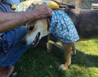 Daisies Pet Bandanas, Blue Daisies, Pink Daisies, Traditional Tie-on Bandana