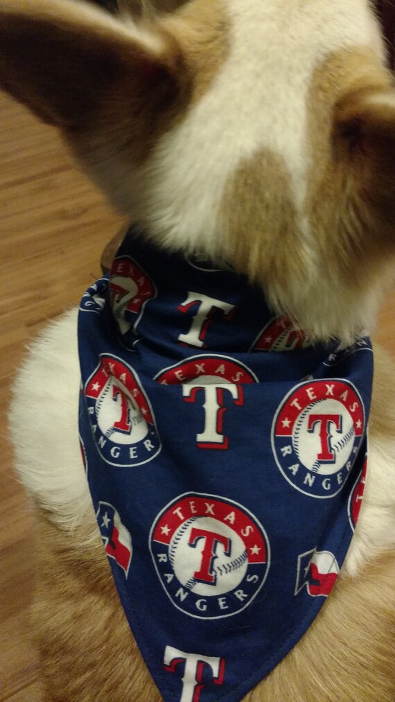 texas rangers dog jersey